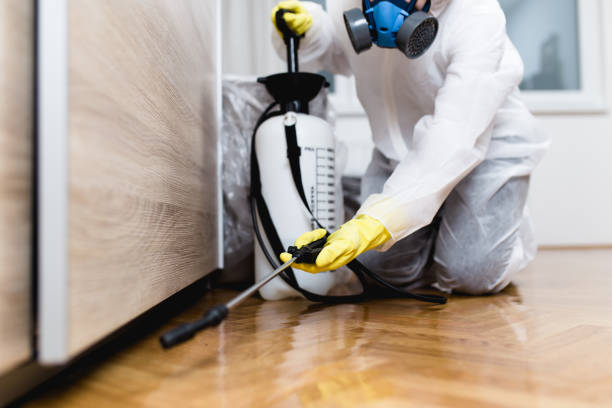 Best Flea Control Services  in Ninety Six, SC