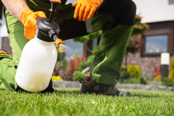 Best Wildlife Control Services  in Ninety Six, SC