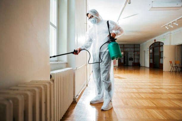 Best Local Pest Control Services  in Ninety Six, SC